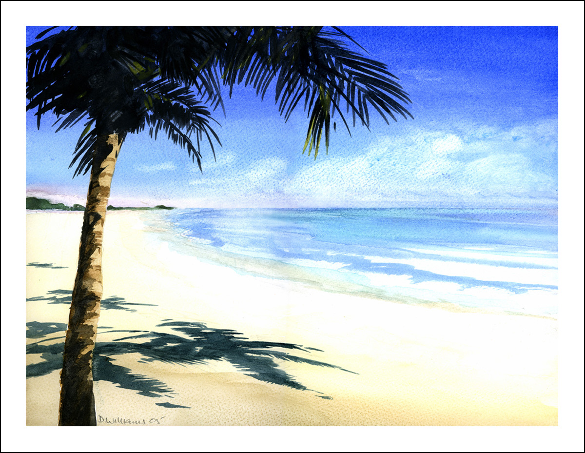 Palm Shadows Fine Art Giclee Print