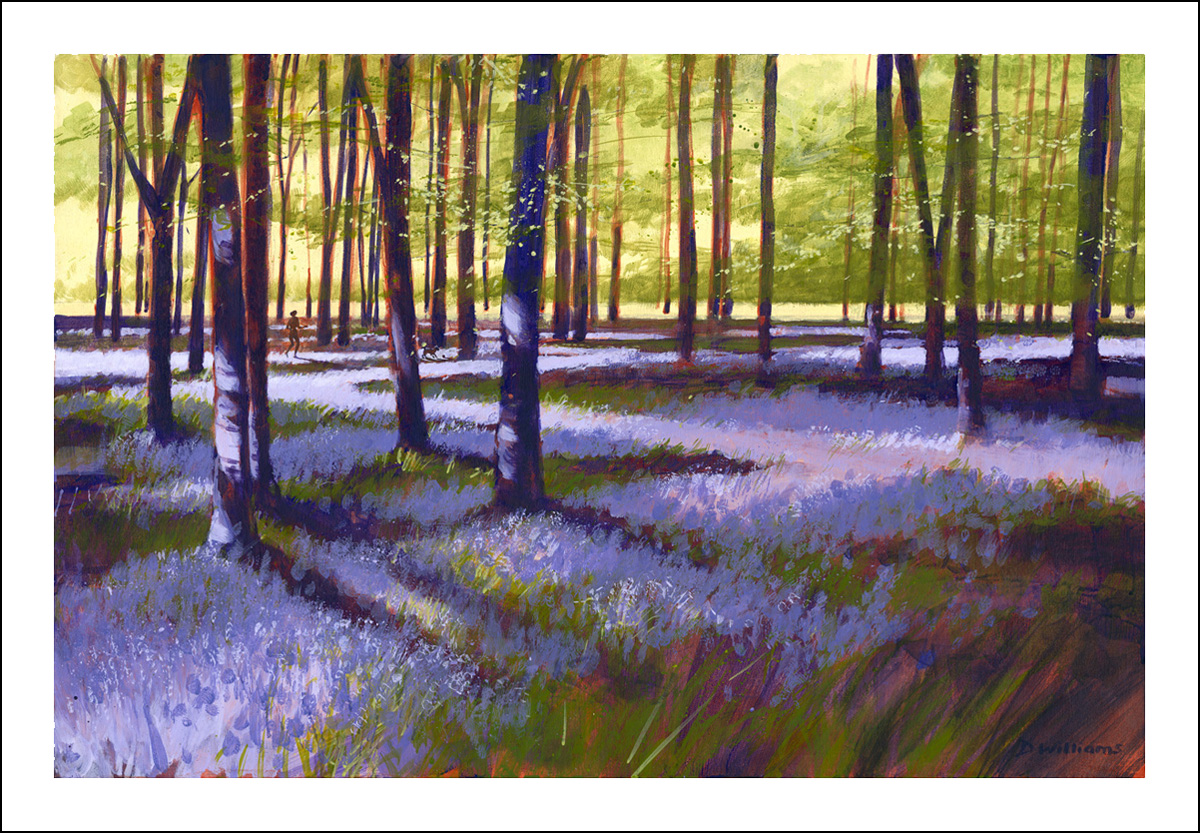 Bluebell Wood