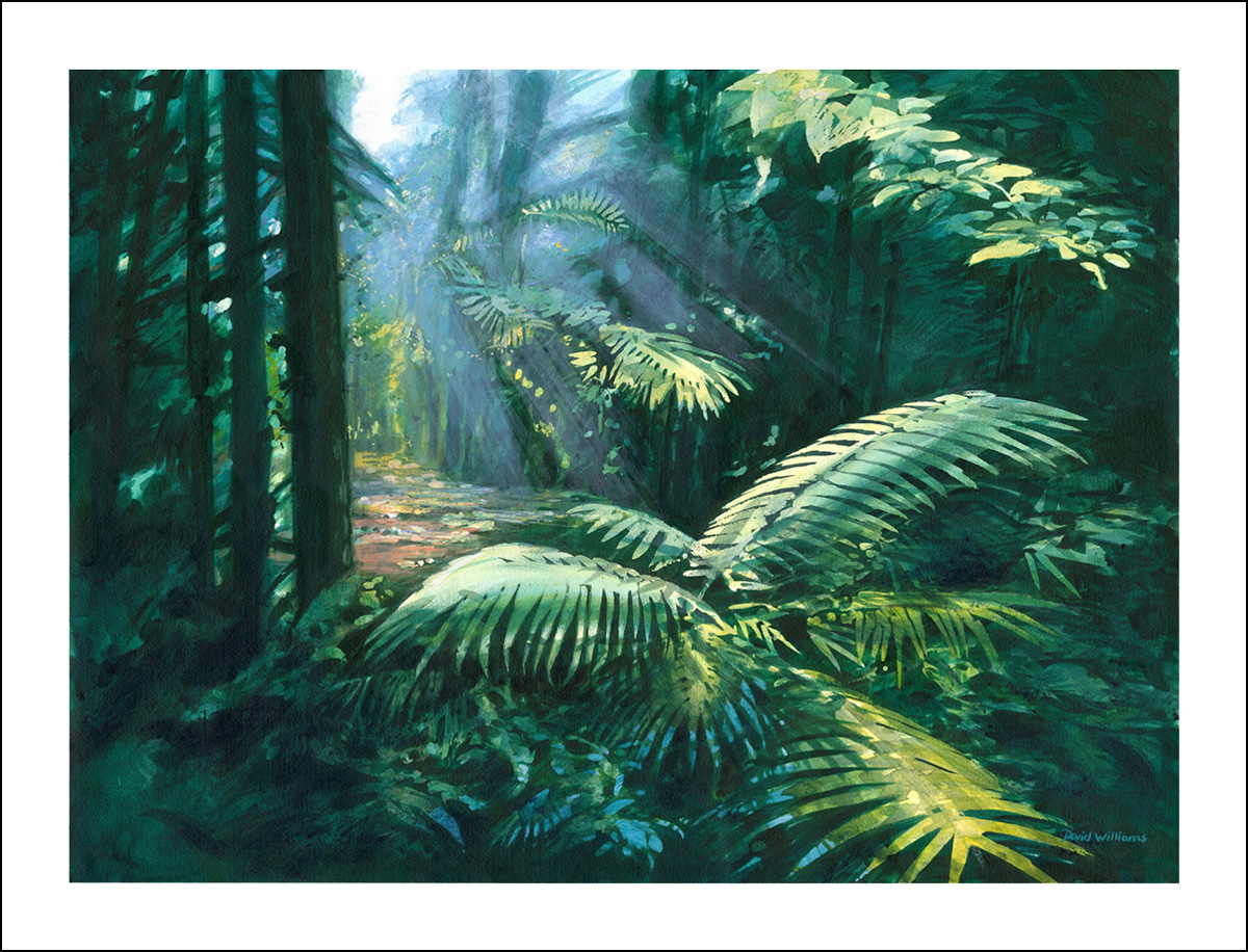 Forest Path