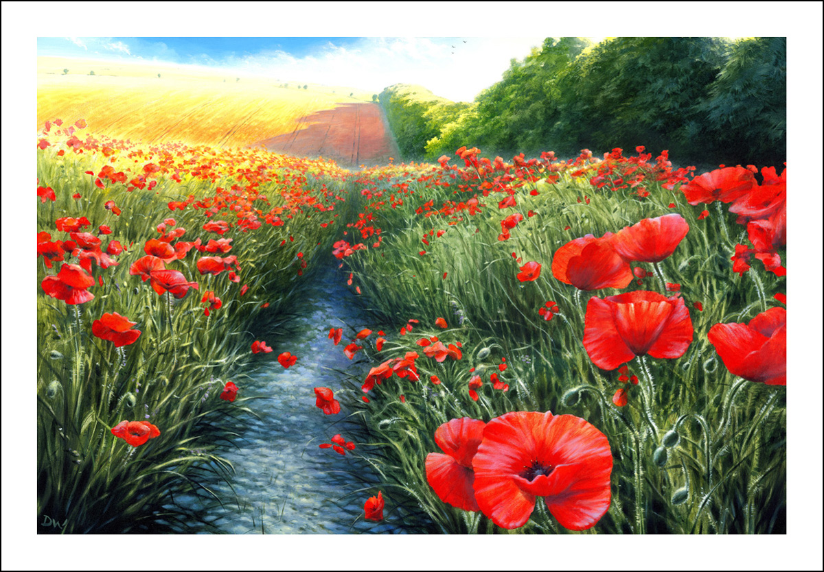 Poppy Fields