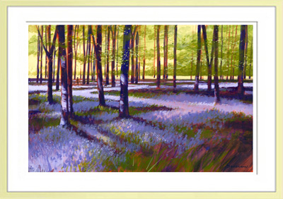 Bluebell Wood