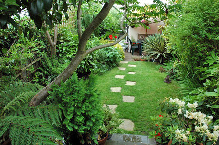 View of garden from the studio